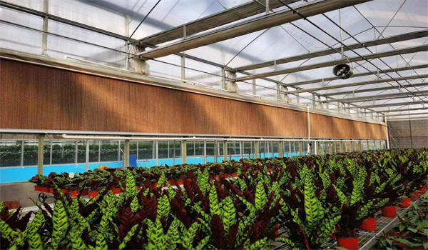EVAPORATIVE COOLING PAD