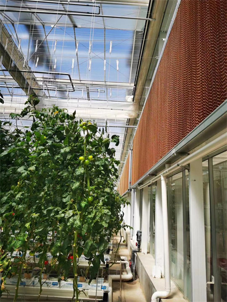 EVAPORATIVE COOLING PAD
