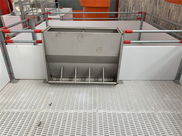SWINE FEED TROUGH