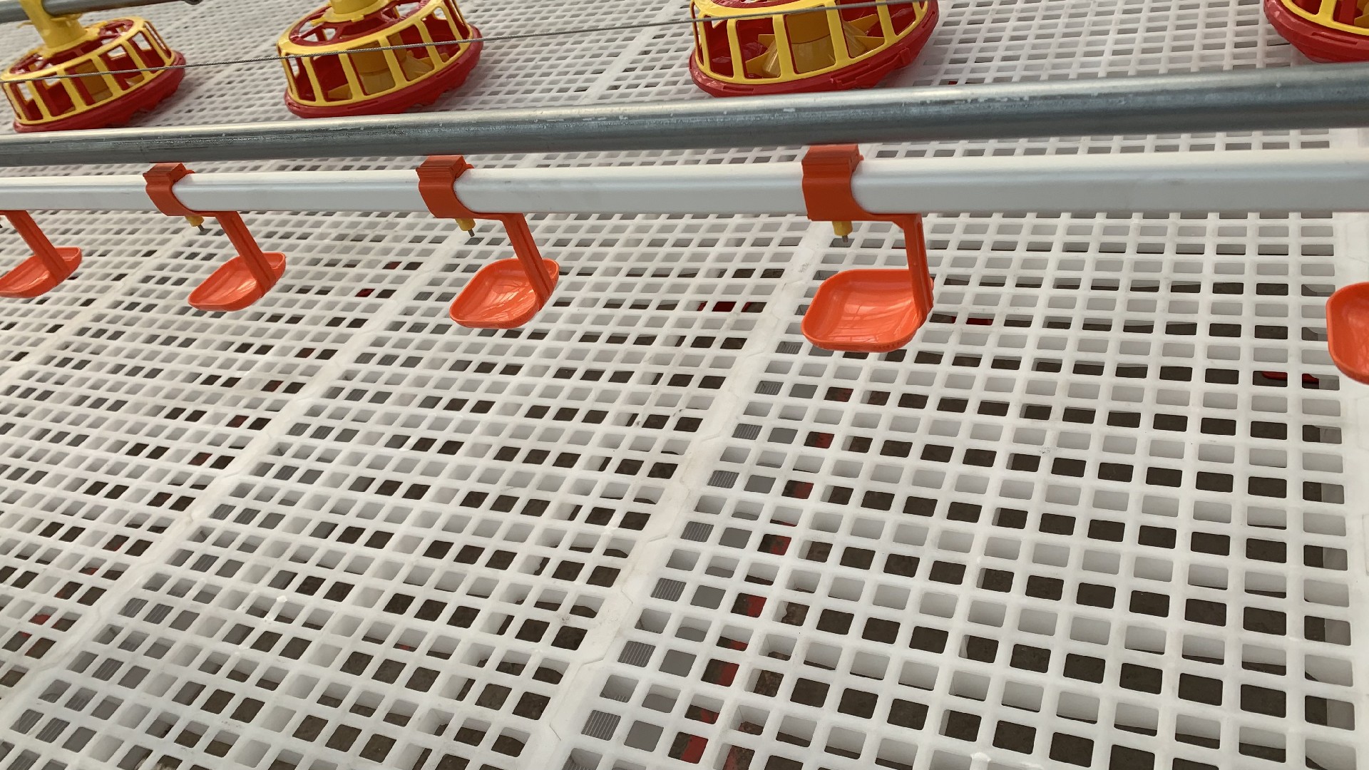 DRINKING LINE