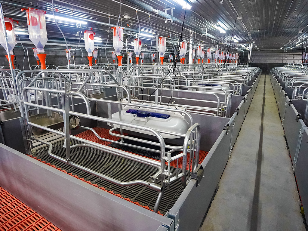FARROWING CRATE
